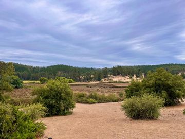 Se vende campo en sector de Paredones, 45,61há, cercano a Lago Vichuquén