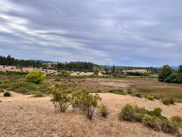 Se vende campo en sector de Paredones, 45,61há, cercano a Lago Vichuquén