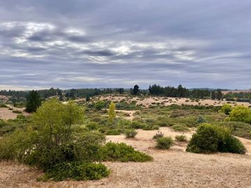 Se vende campo en sector de Paredones, 45,61há, cercano a Lago Vichuquén
