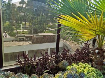 Vendo  Dúplex,277 m2, US$230,000, 3 hab, 3 baños, terraza, piscina, Surco