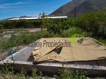 Venta de Parcela con hermosa casa estilo mediterráneo y piscina. Vicuña, Valle del Elqui. $210 millones