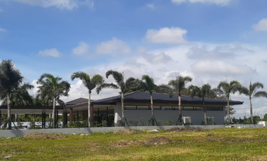 Prime Residential Lot for Sale in Brentville, Laguna