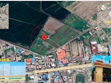 VENDO TERRENO PLANO DE 2 HA EN PREDIO RUSTICO HUAQUILLAS TUMBES