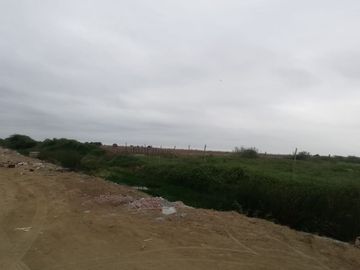VENDO TERRENO PLANO DE 2 HA EN PREDIO RUSTICO HUAQUILLAS TUMBES