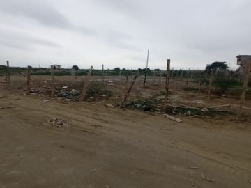 VENDO TERRENO PLANO DE 2 HA EN PREDIO RUSTICO HUAQUILLAS TUMBES