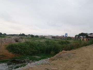 VENDO TERRENO PLANO DE 2 HA EN PREDIO RUSTICO HUAQUILLAS TUMBES