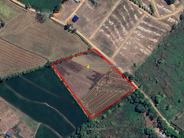 TARAPOTO - VENDO TERRENO RURAL 8,000 M² CERCA AEROPUERTO