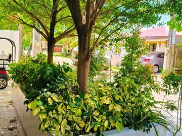 For Sale House and Lot in Ajoya Subdivision,Cordova Cebu