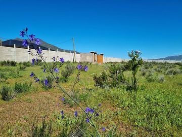 Venta de terreno 5380 M2 con rol propio, La Alcaparra II Ruta 43 Camino Ovalle, Coquimbo
