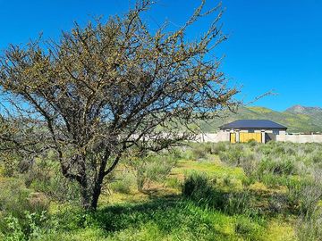 Venta de terreno 5380 M2 con rol propio, La Alcaparra II Ruta 43 Camino Ovalle, Coquimbo