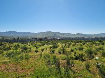 Venta de terreno 5380 M2 con rol propio, La Alcaparra II Ruta 43 Camino Ovalle, Coquimbo
