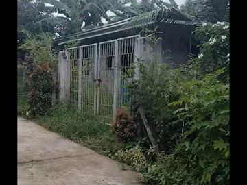 HOUSE AND LOT FOR SALE IN TALON AMADEO CAVITE