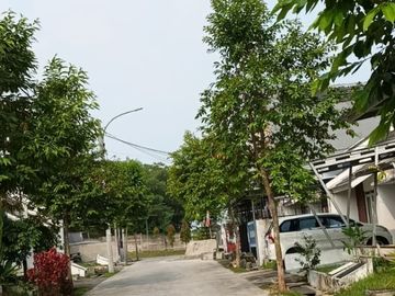 Dijual Rumah Cluster Legian Citra Maja Raya Lebak Banten Unit Masih Standar Murah Bagus Lokasi Nyaman Strategis