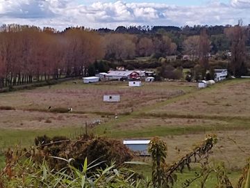 Parcela 10.000 m2 a orilla de camino