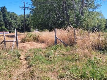 Parcela 10.000 m2 a orilla de camino