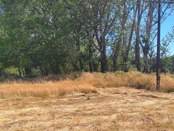 Parcela 10.000 m2 a orilla de camino
