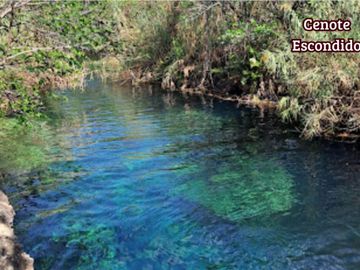 Departamento con jardín, alberca y Cenotes, en venta, Región 10, Tulum