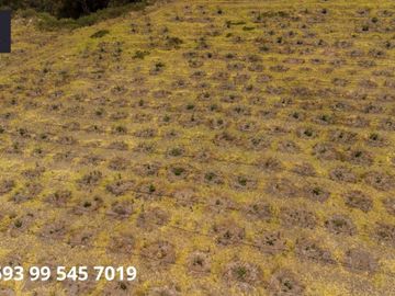 VENTA, URCUQUI, SAN BLAS