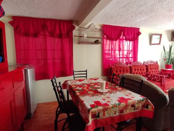 Oportunidad Única: Encantadora Casa Rentera con Patio y Garaje y 3 Departamentos, ¡Ideal para Invertir!