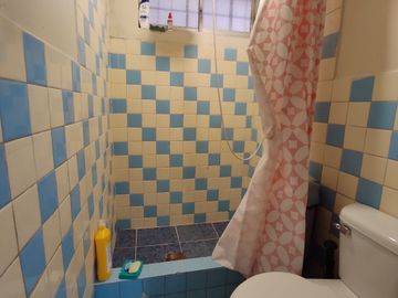 Oportunidad Única: Encantadora Casa Rentera con Patio y Garaje y 3 Departamentos, ¡Ideal para Invertir!