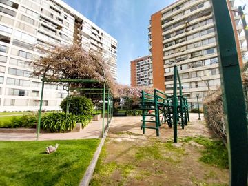 Amplio, Frente A Futuro Metro, Colegios