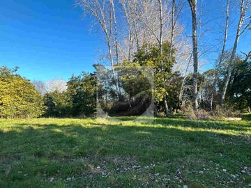 Se venden parcelas de 5.000m² ubicadas entre Arique y Antilhue.
