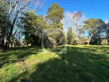 Se venden parcelas de 5.000m² ubicadas entre Arique y Antilhue.