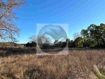 Se venden parcelas de 5.000m² ubicadas entre Arique y Antilhue.