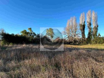 Se venden parcelas de 5.000m² ubicadas entre Arique y Antilhue.
