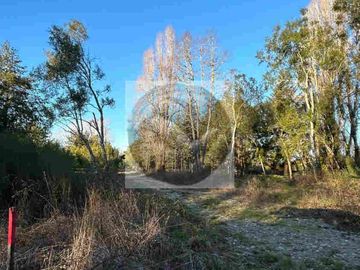 Se venden parcelas de 5.000m² ubicadas entre Arique y Antilhue.