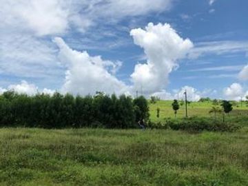 289 sqm Lot for Sale in Pahara, Southwoods Cavite
