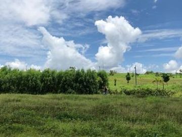 289 sqm Lot for Sale in Pahara, Southwoods Cavite