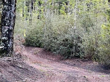 ¡Vive en el corazón de la naturaleza! Parcela en Parque Volcanes, Ensenada, Puerto Varas