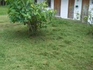 QUINTA CON CASA AMOBLADA EN VENTA PIFO BARRIO ITULCACHI