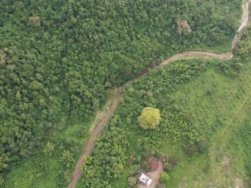 Vendo Hacienda ganadera de 800 Hectáreas, Parroquia San Mateo, Cantón Esmeraldas.