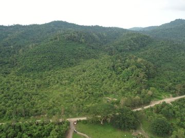 Vendo Hacienda ganadera de 800 Hectáreas, Parroquia San Mateo, Cantón Esmeraldas.