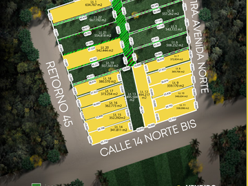 Terrenos en venta TULUM, magnifica oportunidad!
