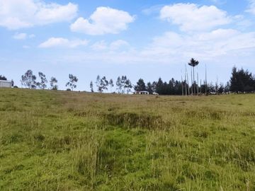 FINCA AGRÍCOLA DE VENTA EN PIFO – EL INGA. 3 HA. USD 370.000