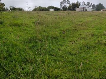 FINCA AGRÍCOLA DE VENTA EN PIFO – EL INGA. 3 HA. USD 370.000