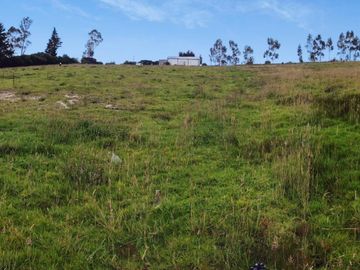 FINCA AGRÍCOLA DE VENTA EN PIFO – EL INGA. 3 HA. USD 370.000