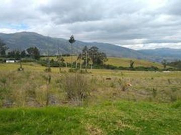FINCA AGRÍCOLA DE VENTA EN PIFO – EL INGA. 3 HA. USD 370.000