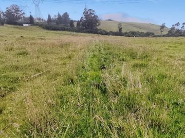 FINCA AGRÍCOLA DE VENTA EN PIFO – EL INGA. 3 HA. USD 370.000