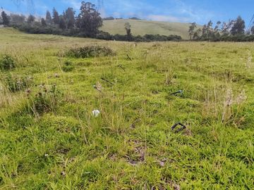 FINCA AGRÍCOLA DE VENTA EN PIFO – EL INGA. 3 HA. USD 370.000