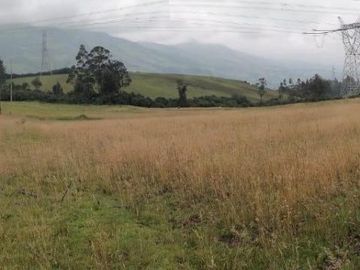 FINCA AGRÍCOLA DE VENTA EN PIFO – EL INGA. 3 HA. USD 370.000