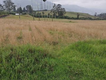 FINCA AGRÍCOLA DE VENTA EN PIFO – EL INGA. 3 HA. USD 370.000
