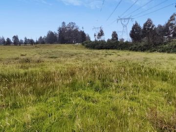 FINCA AGRÍCOLA DE VENTA EN PIFO – EL INGA. 3 HA. USD 370.000