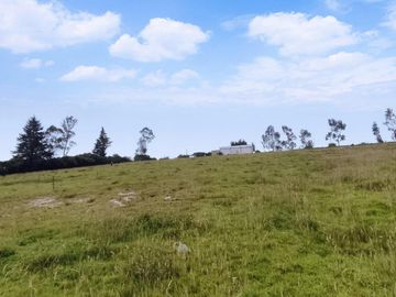 FINCA AGRÍCOLA DE VENTA EN PIFO – EL INGA. 3 HA. USD 370.000