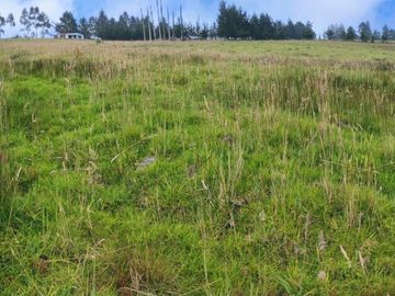 FINCA AGRÍCOLA DE VENTA EN PIFO – EL INGA. 3 HA. USD 370.000