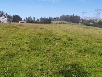 FINCA AGRÍCOLA DE VENTA EN PIFO – EL INGA. 3 HA. USD 370.000