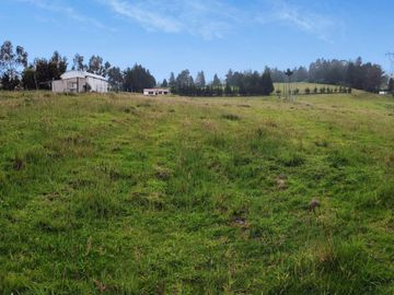 FINCA AGRÍCOLA DE VENTA EN PIFO – EL INGA. 3 HA. USD 370.000